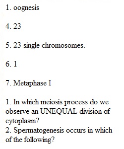 Lecture Exam 1